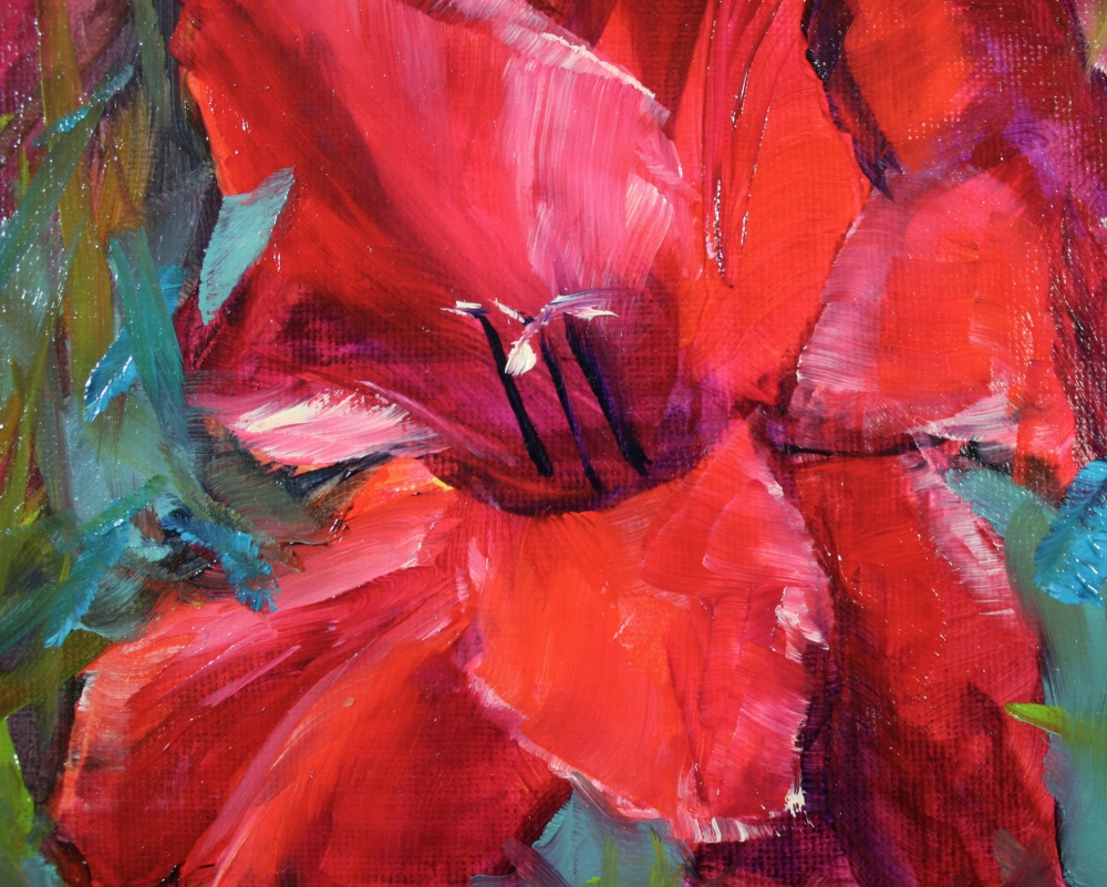 Scarlet Gladiolus