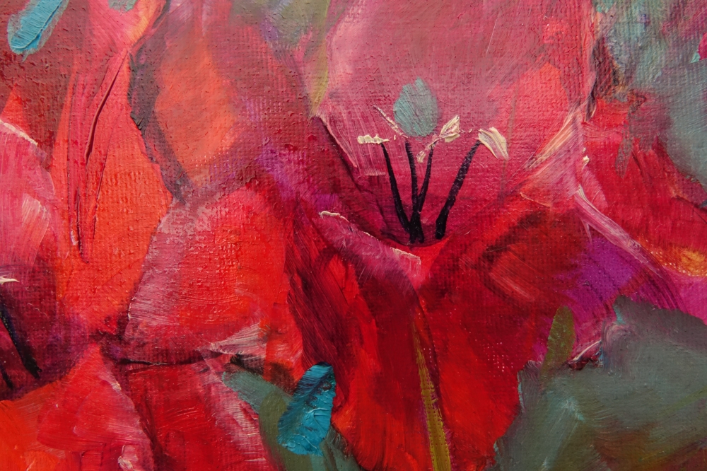 Scarlet Gladiolus