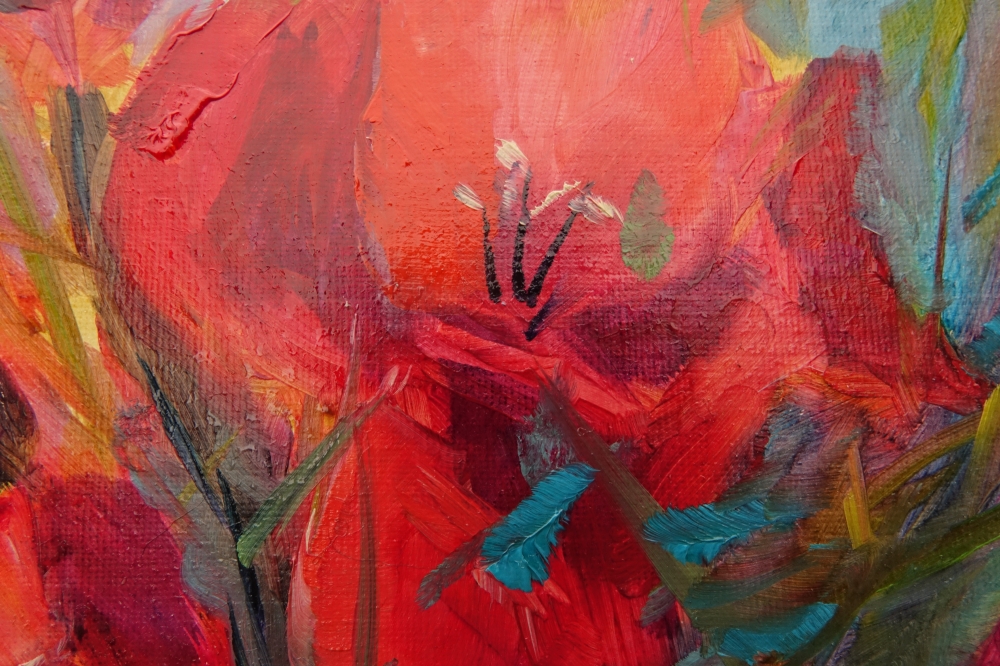 Scarlet Gladiolus