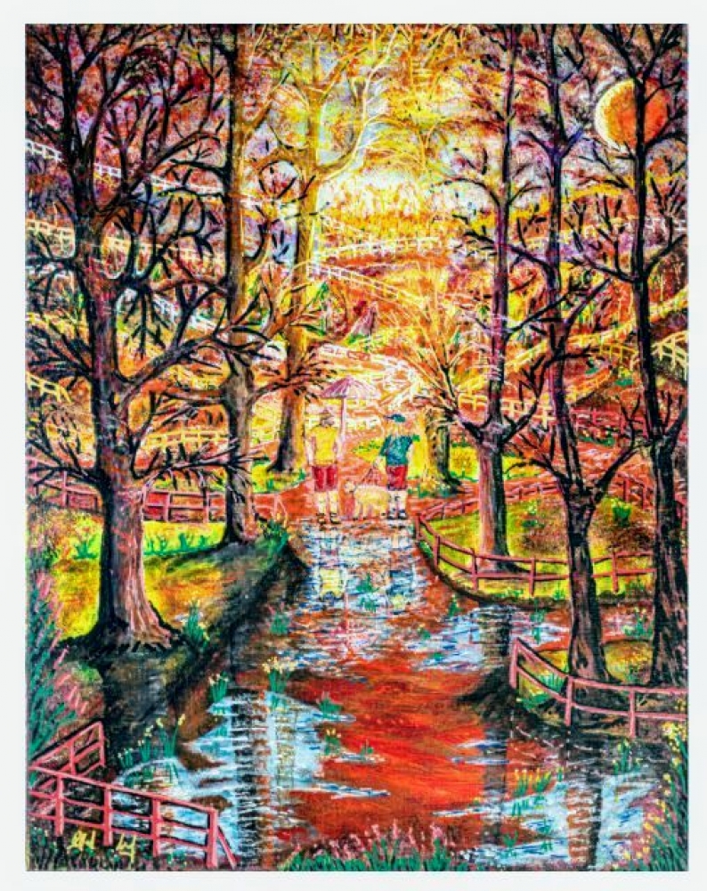 Walk in the Woods 