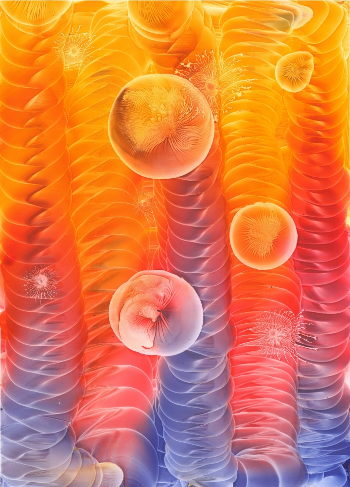 Swirls in the Light