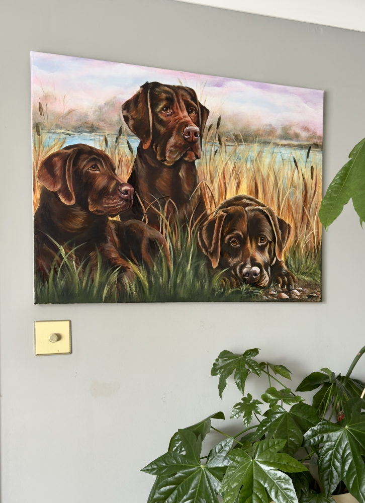 The Chocolate Trio: Masters of Mud, Mischief & Melted Hearts