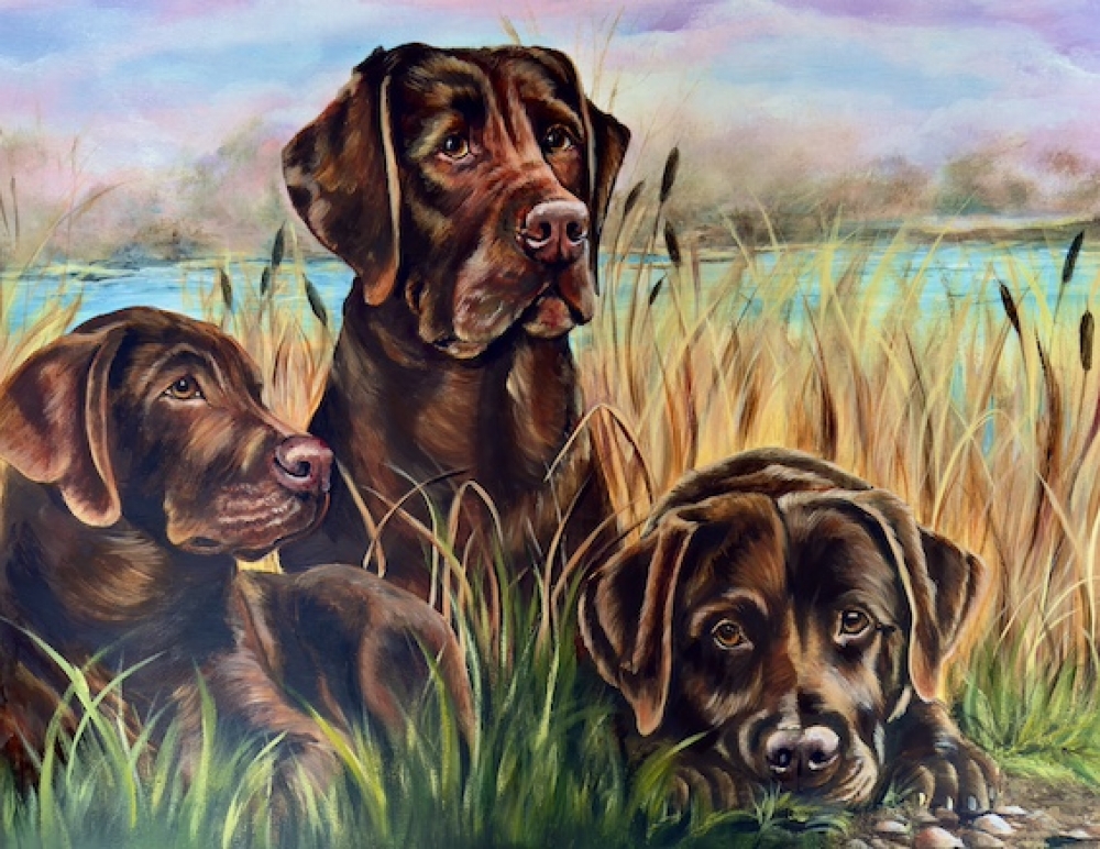 The Chocolate Trio: Masters of Mud, Mischief & Melted Hearts