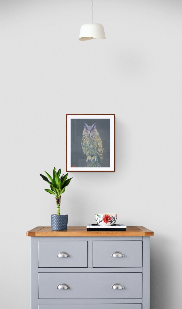 Tawny Owl
