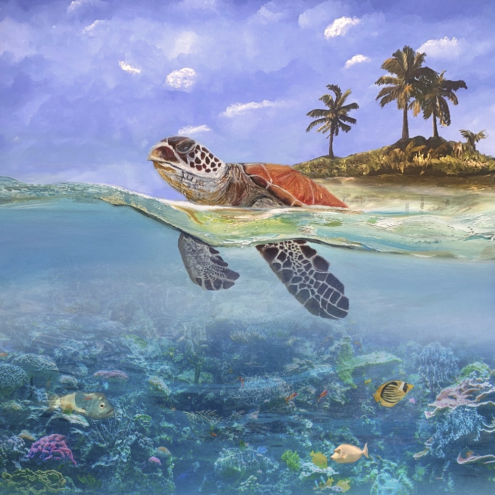 The Turtle