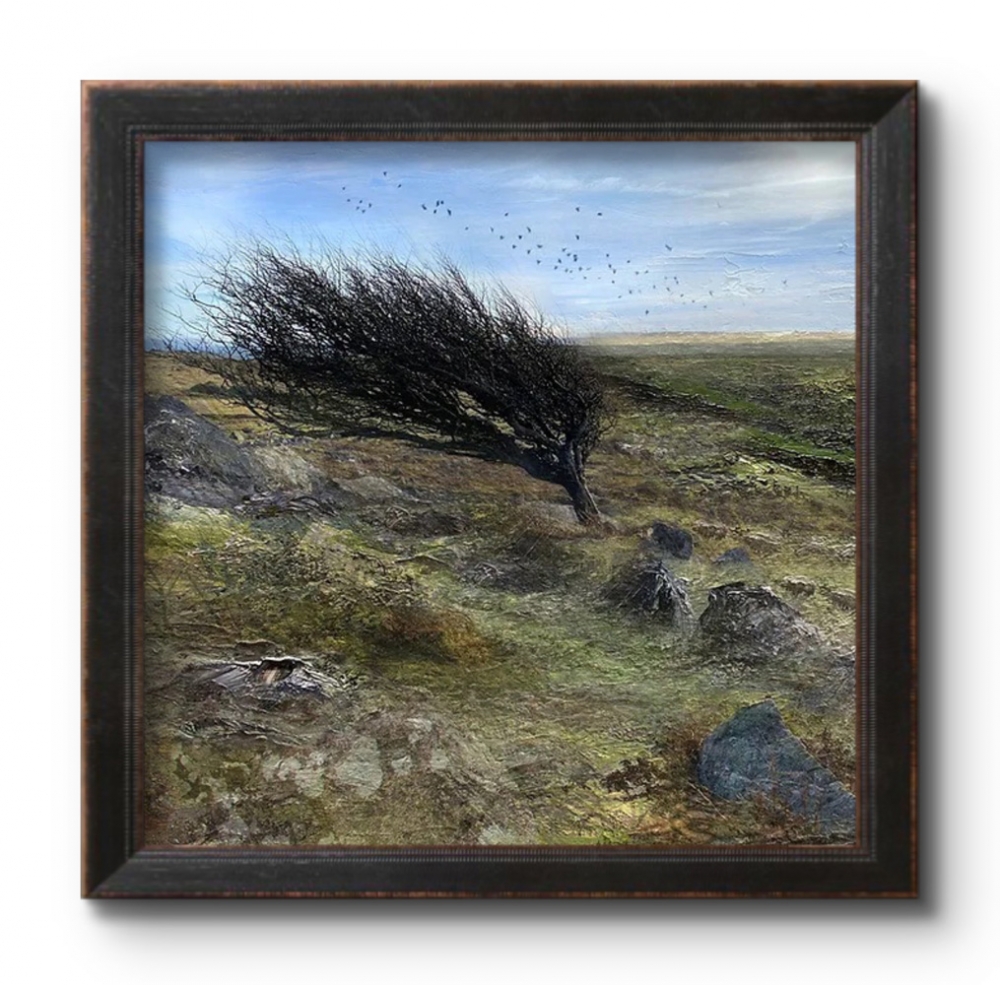 The Winds of Change