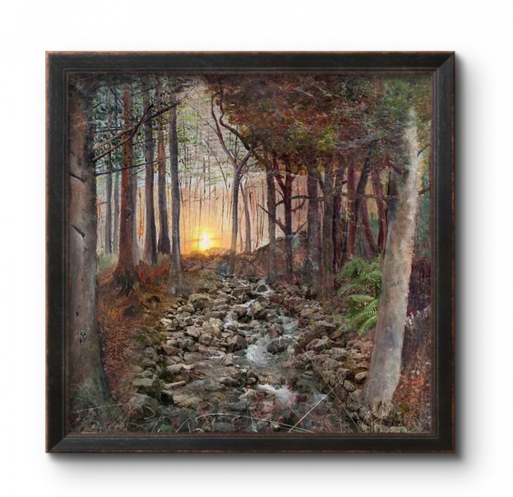 The Cornish Forest