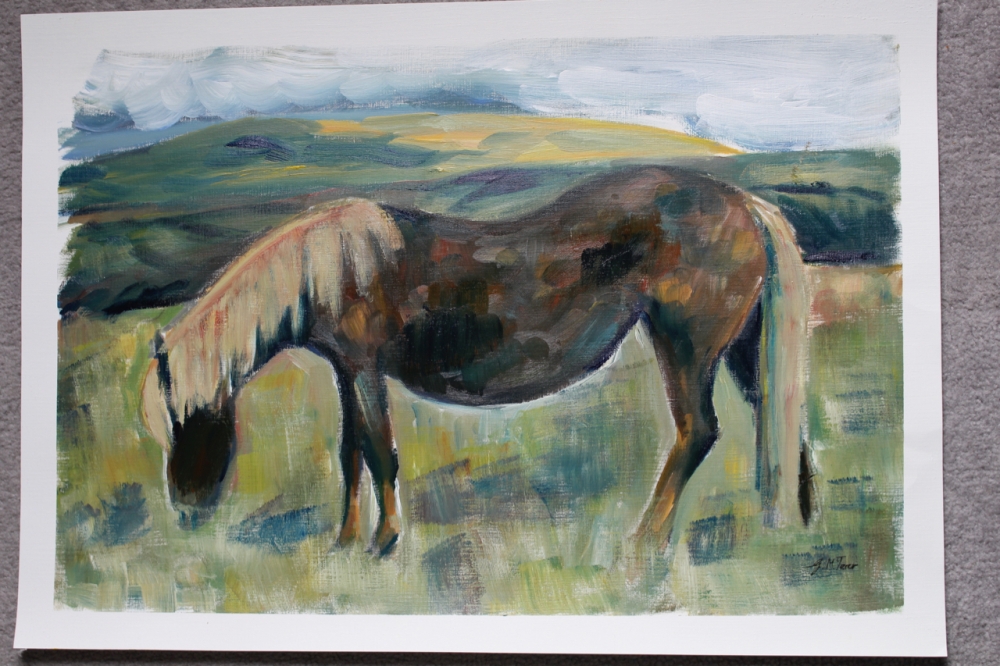 Dartmoor Pony
