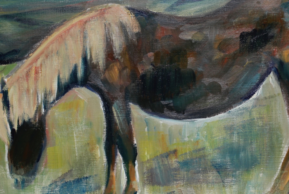 Dartmoor Pony
