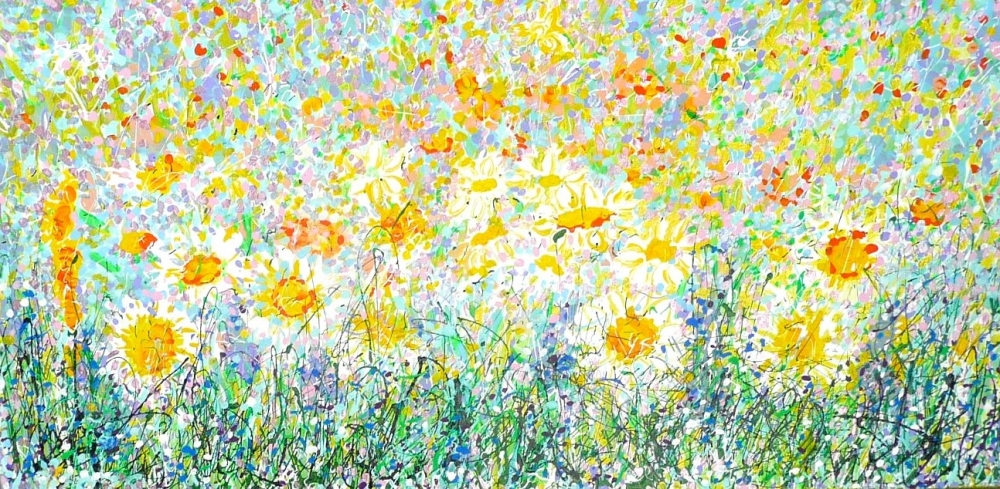 Wild Daisy Meadow