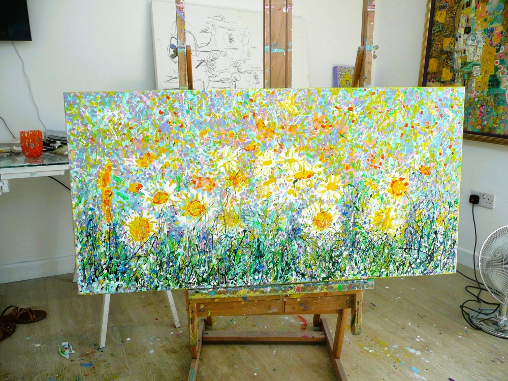 Wild Daisy Meadow