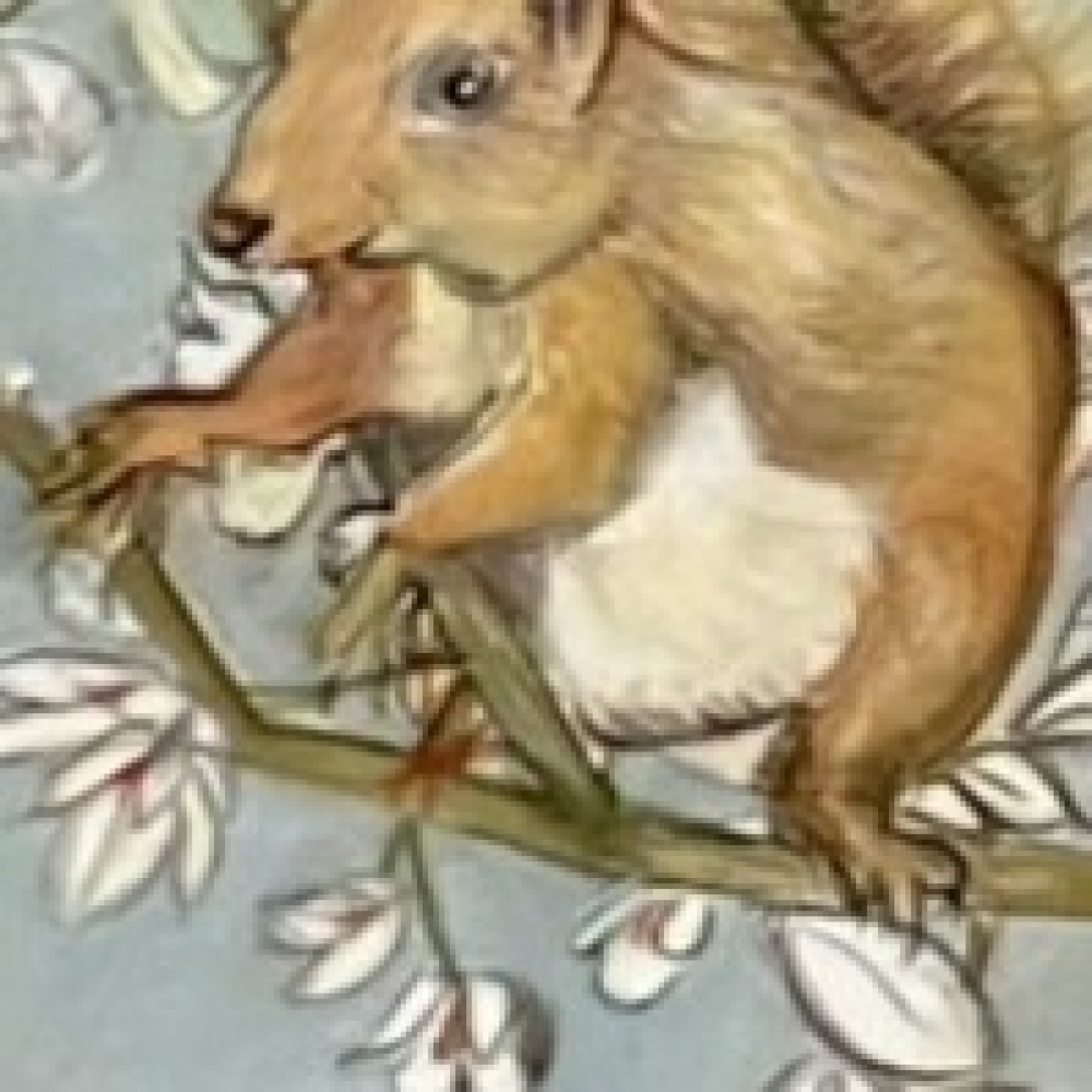 Among the blossom