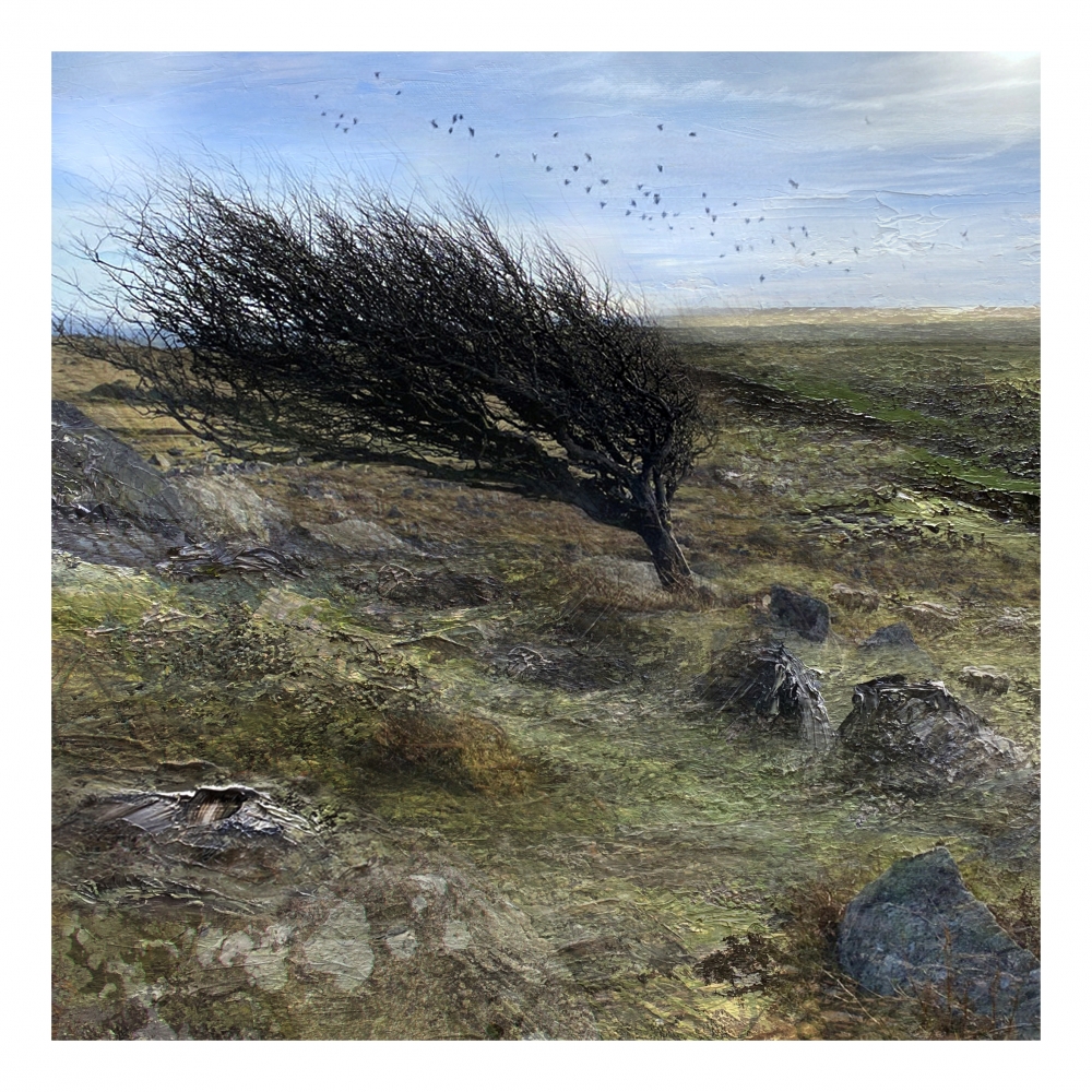 The Winds of Change