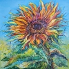 THE SUN IN THE FIELD