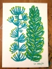 Mediterranean Plants