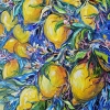 Lemon tree