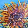 THE SUN IN THE FIELD