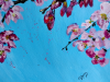 Cherry Blossom
