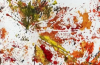 Autumn Leaves