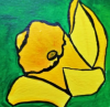 Daffodils