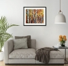 Fiery Birches