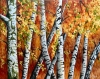 Fiery Birches