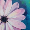 Flower with Rain Drops