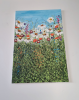 Wildflowers in Bloom 