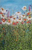 Wildflowers in Bloom 