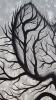Nature’s Spirit