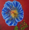 Blue geranium 