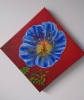 Blue geranium 