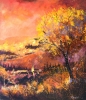 Colourful autumn 