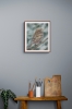 Common sparrow