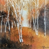 Four seasonal views