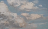 Bird's realm - daytime