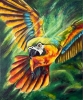 Born to Soar