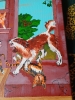 Cats and Dog