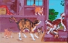 Cats and Dog