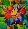 Chromatic Bloom