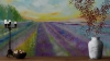 Lavender Fields 2025 