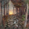 The Cornish Forest