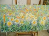 Wild Daisy Meadow
