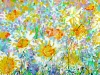 Wild Daisy Meadow