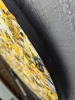 Abstract Synapses - Dance Of The Bumble Bee #7