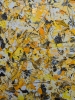 Abstract Synapses - Dance Of The Bumble Bee #7