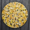 Abstract Synapses - Dance Of The Bumble Bee #7