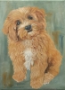 Puppy 3 (Original Artwork)