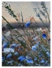 Midsummer Sapphire