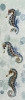 Seahorses